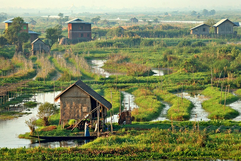 Jardins flottants lac Inle