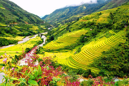 Voyager au Vietnam en une semaine