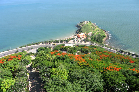 Journée ensoleillée à Vungtau   Journée ensoleillée à Vungtau