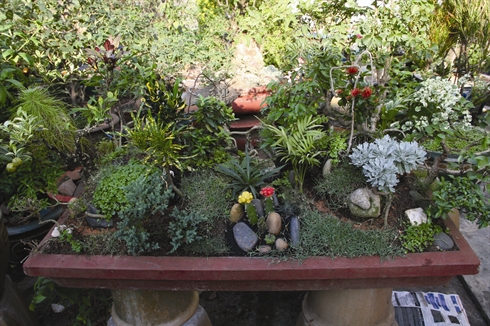 Son ouvrage baptisé -La piste Hô Chi Minh