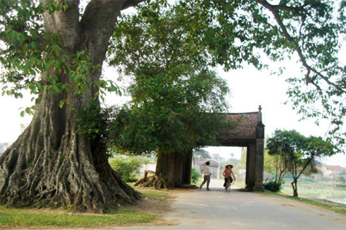 Ancien maison Duong Lam