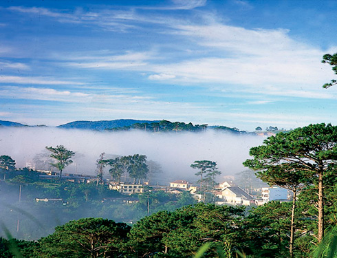 petit Paris  petit Paris