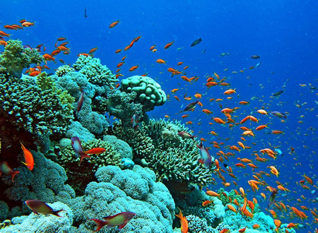 Cu Lao Cham Cu Lao Cham