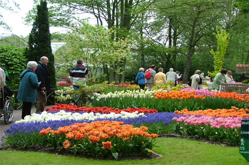 ville des fleurs à Dalat