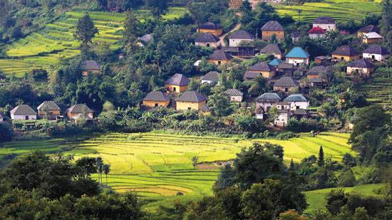 Découvrir la maison à la forme d’un champignon à Lao Cai