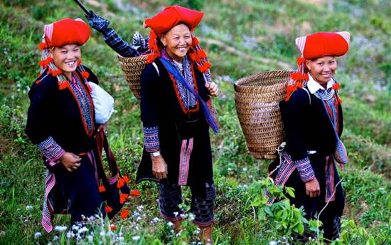Découvrir la maison à la forme d’un champignon à Lao Cai Découvrir la maison à la forme d’un champignon à Lao Cai