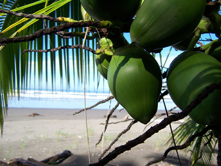 Voyage au Vietnam au Vietnam en Été