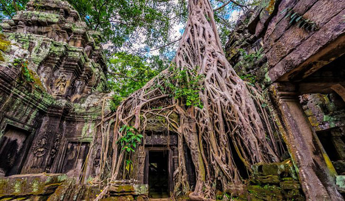Ta Prohm, Cambodge