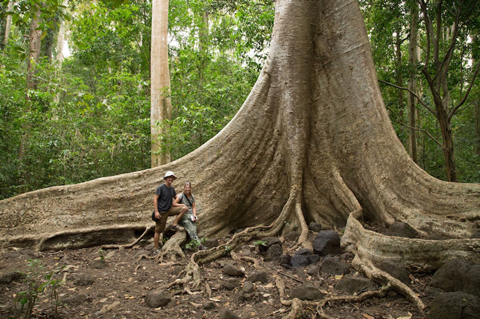 Parc national de Cat Tien, Vietnam