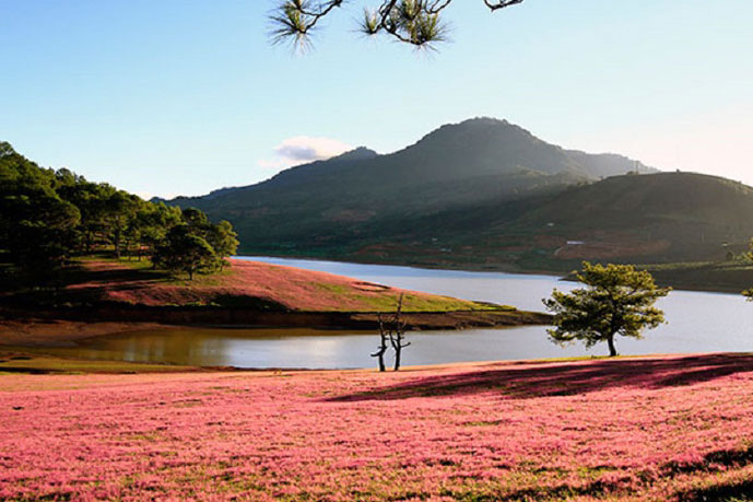 Lac de Suoi Vang, Dalat, Vietnam