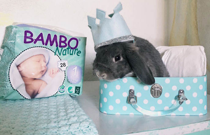 Couches jetables et tissus humides