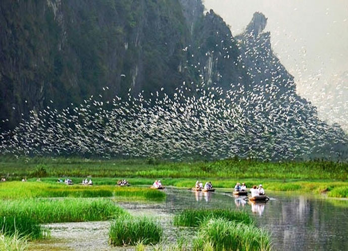 Thung Nham, Ninh Binh