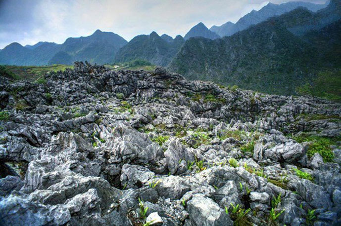 Plateau karstique de Dong Van, Ha Giang, Vietnam