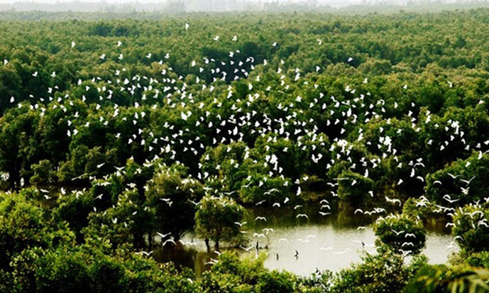 Parc national de Tram Chim, Vietnam