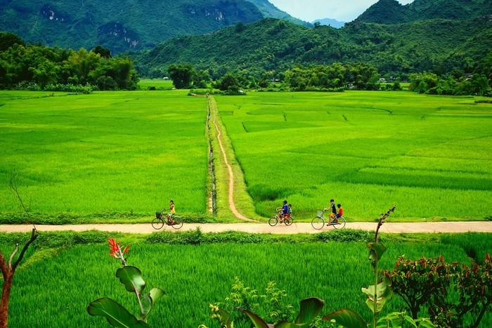 Village de Pom coong
