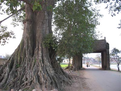 VILLAGE DE DUONG LÂM