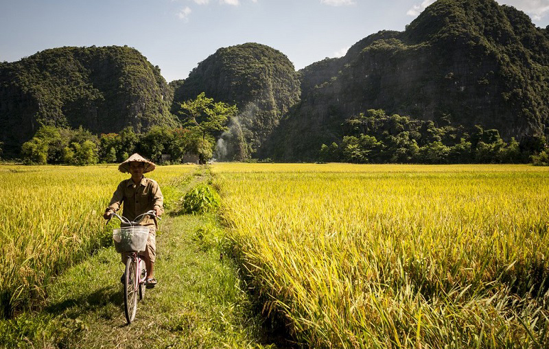 Faire du vélo sur les rizières  Sentiers entouant les rizières