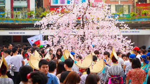 Festival dechanges culturel à Danang 