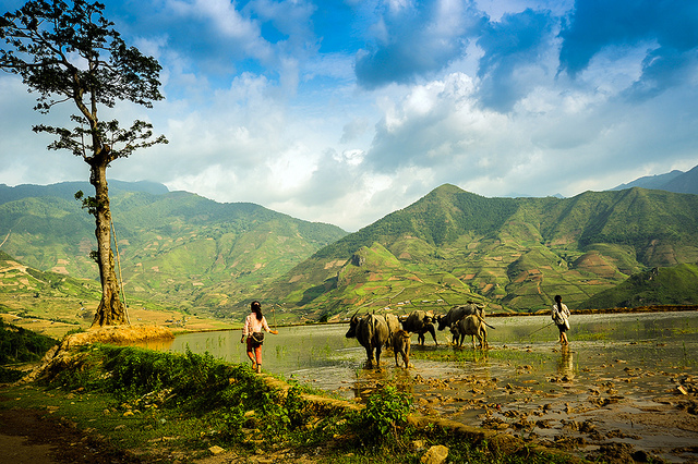 Une journee quotidienne de ces enfants Une journee quotidienne de ces enfants