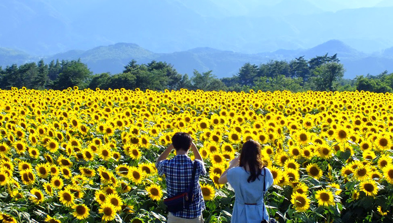 Vietnam en mai Voyage en mois de mai au Vietnam