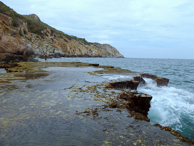 Bande corail Bande corail