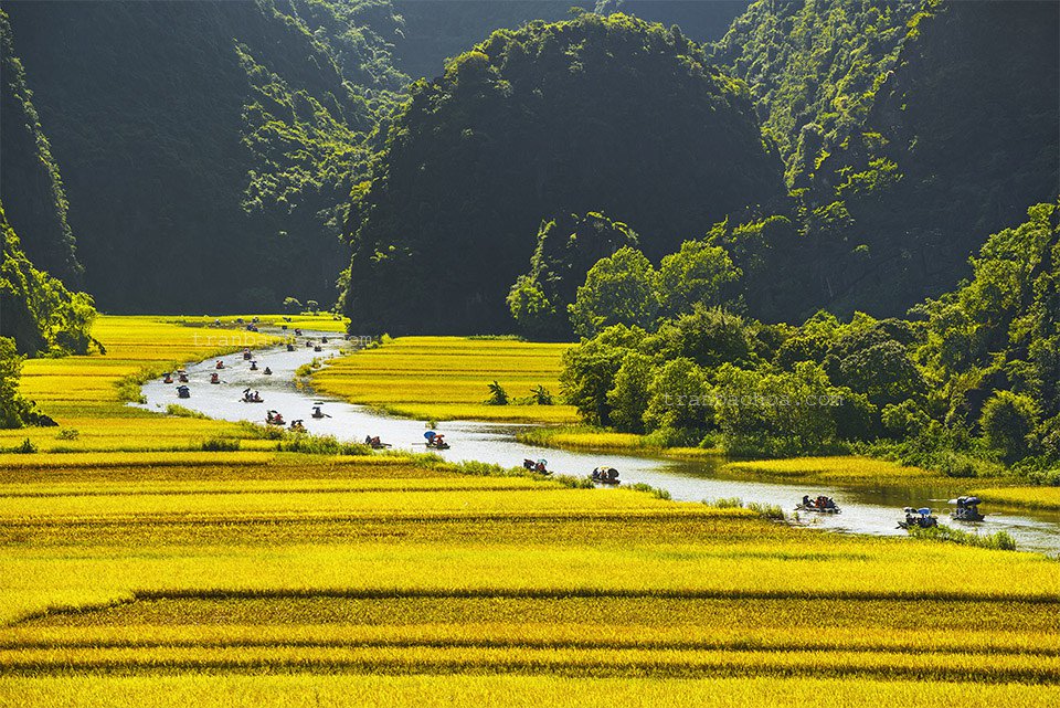 croisière sur le fleuveNgo Dong  rizière Tam Coc Ninh Binh