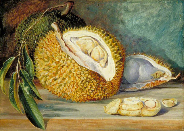 Le fruit durian en art Le fruit durian en art
