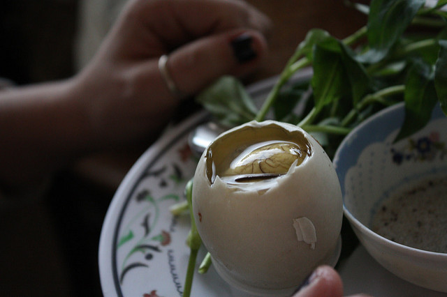 Oeuf couvé ou le balut Oeuf couvé ou le balut
