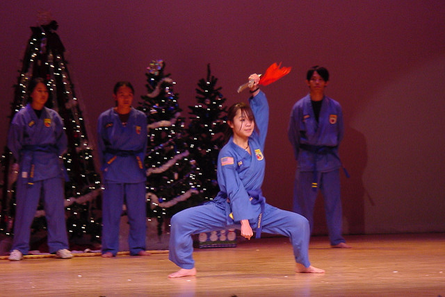 Vovinam art martial au Vietnam Vovinam art martial au Vietnam