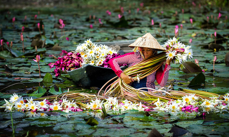 Le Delta du Mekong 