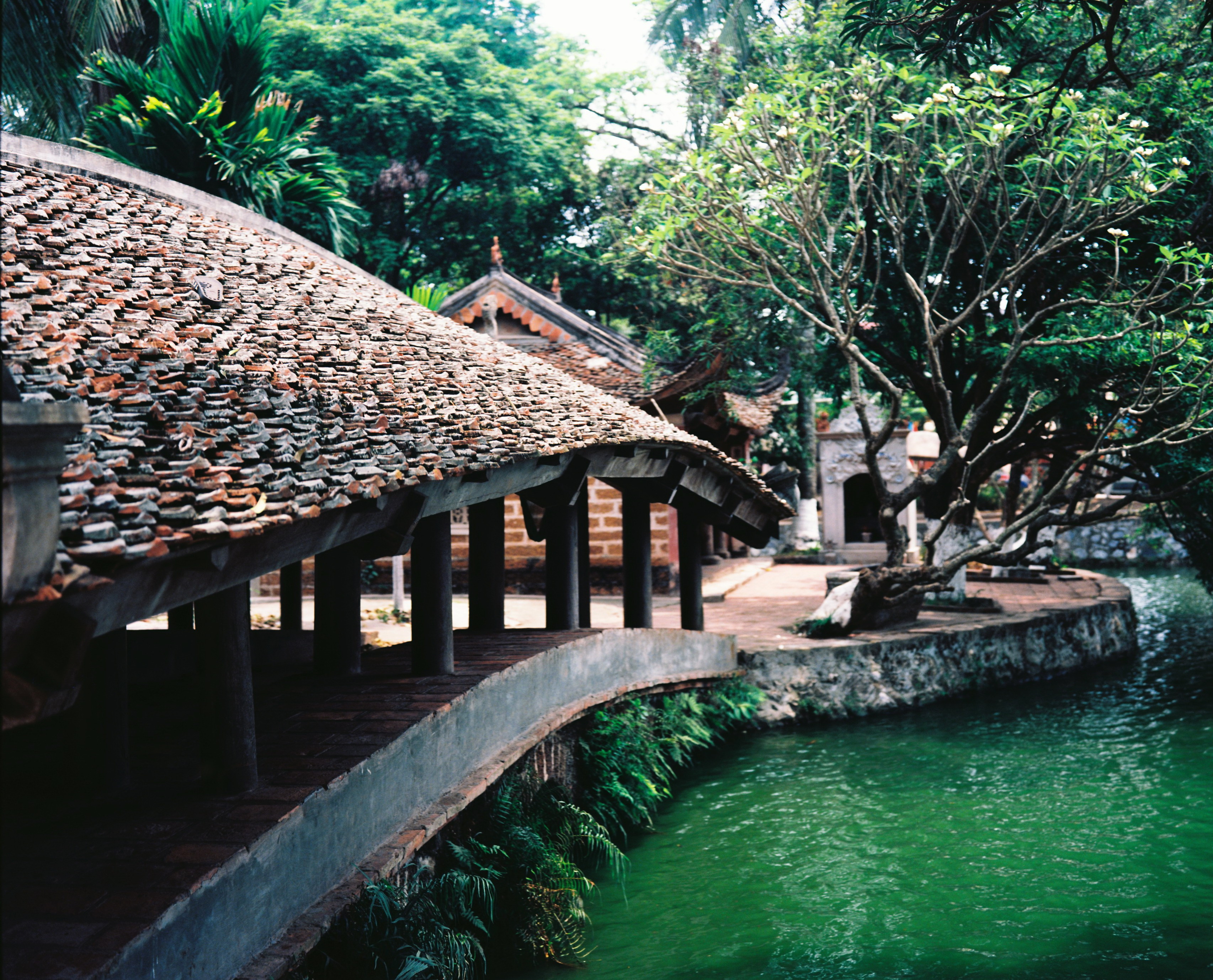 Festival de la pagode Thay Festival de la pagode Thay