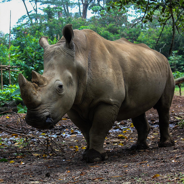 Le parc national de Cat Tien