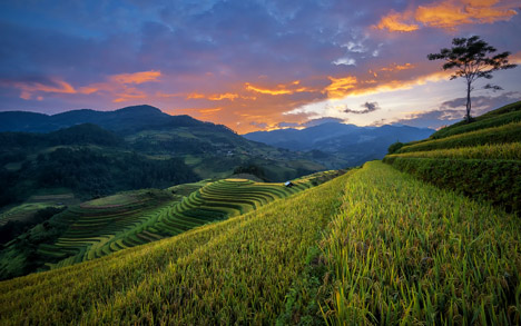 Randonnée au Nord du Vietnam au cœur du pays des H’mong en 8 Jours