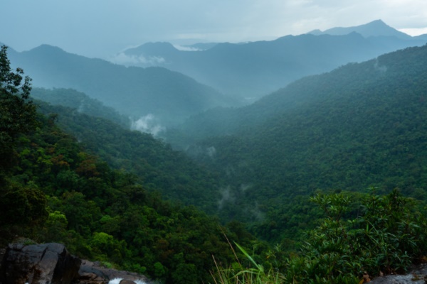 Vue panoramique du parc national de Bach Ma