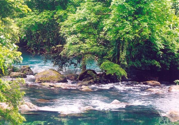 Beau jardin botanique