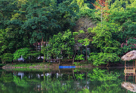 Eco-voyage du Nord au Sud du Vietnam