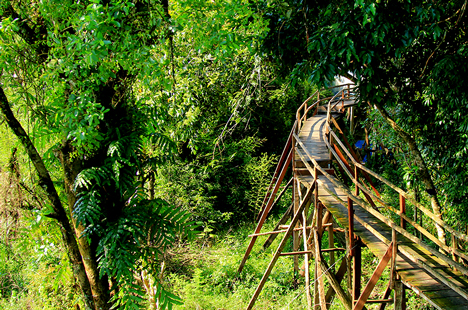 Voyage du Sud au Nord du Vietnam en 3 Semaines