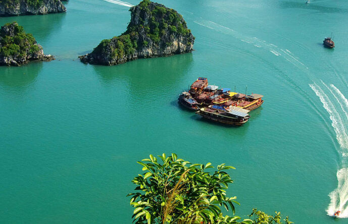 Ha Long Cruise