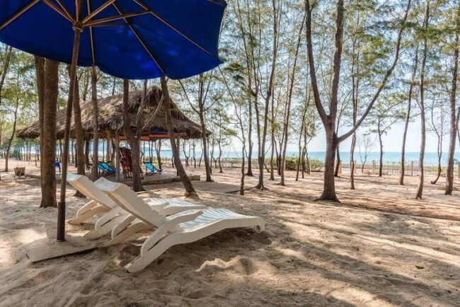 Camping Rung Duong Paradise