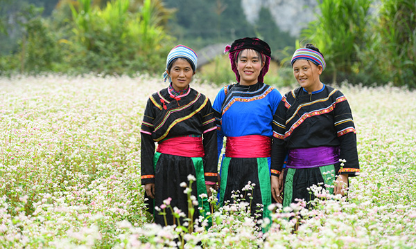 Ethnie Gelao au Vietnam