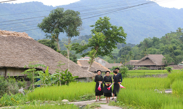 Ethnie Tay au Vietnam