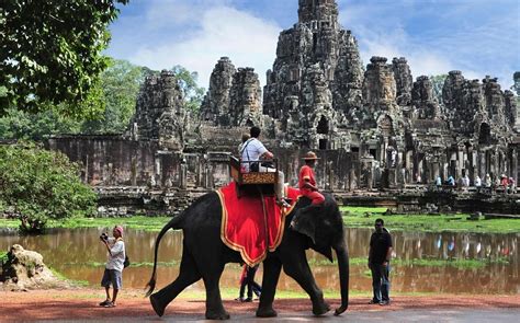 Éléphant à Angkor Wat, Cambodge