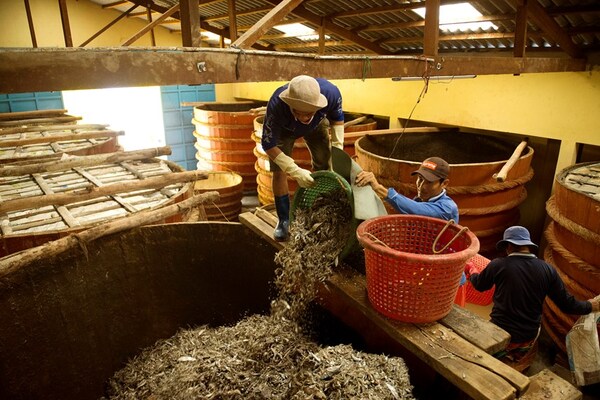 Un pêcheur versant du poisson pour préparer de la sauce de poisson vietnamienne.