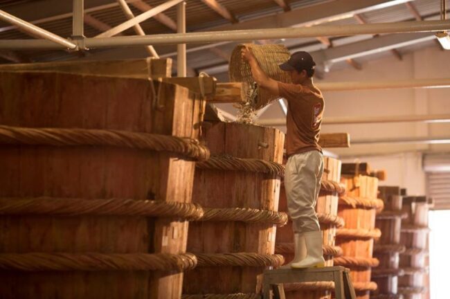 Fabrique de nuoc mam ou la saumure de poisson