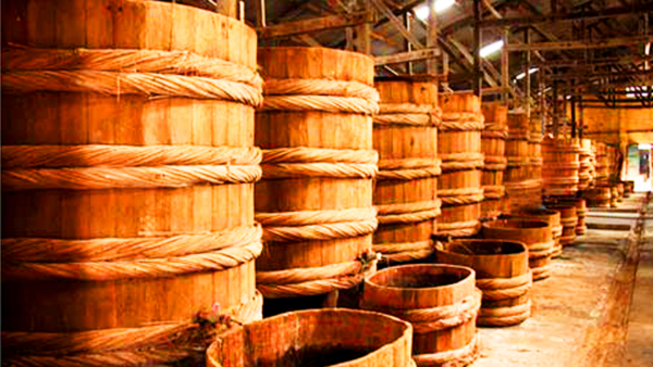 La sauce aux poissons