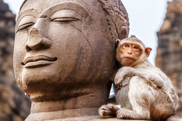 lieux spirituels en Thailande