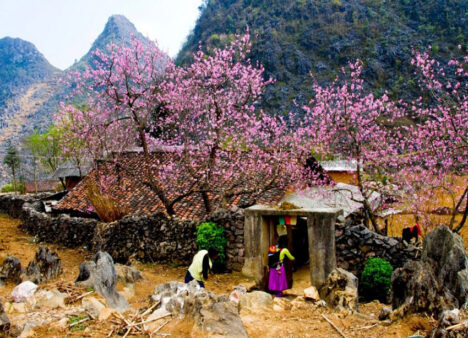 Meo Vac - Ha Giang