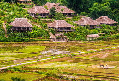 Circuit dans le Nord-Ouest du Vietnam en 6 Jours