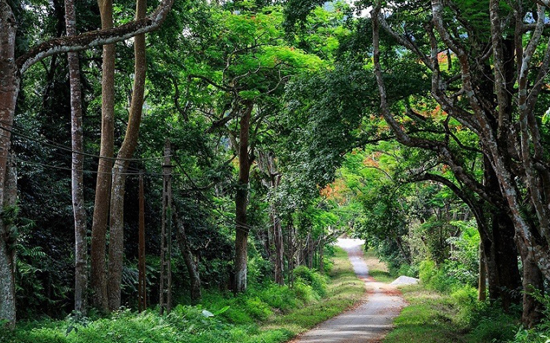 Parc national de Cuc Phuong