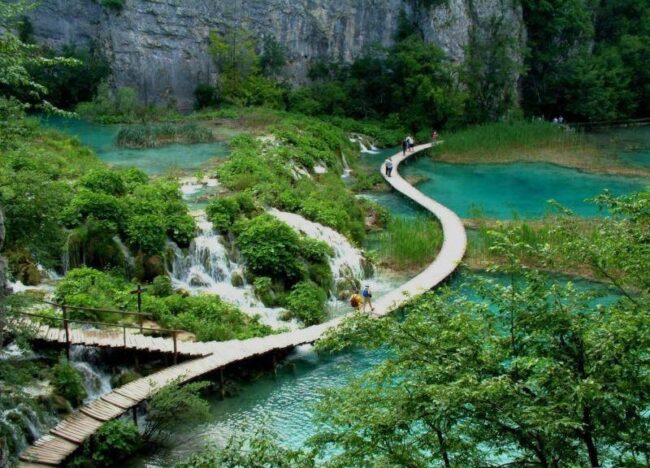 Parc national de Bach Ma 